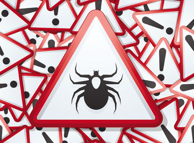 СИГУРНА ОДБРАНА: Бели лук и чајевац 